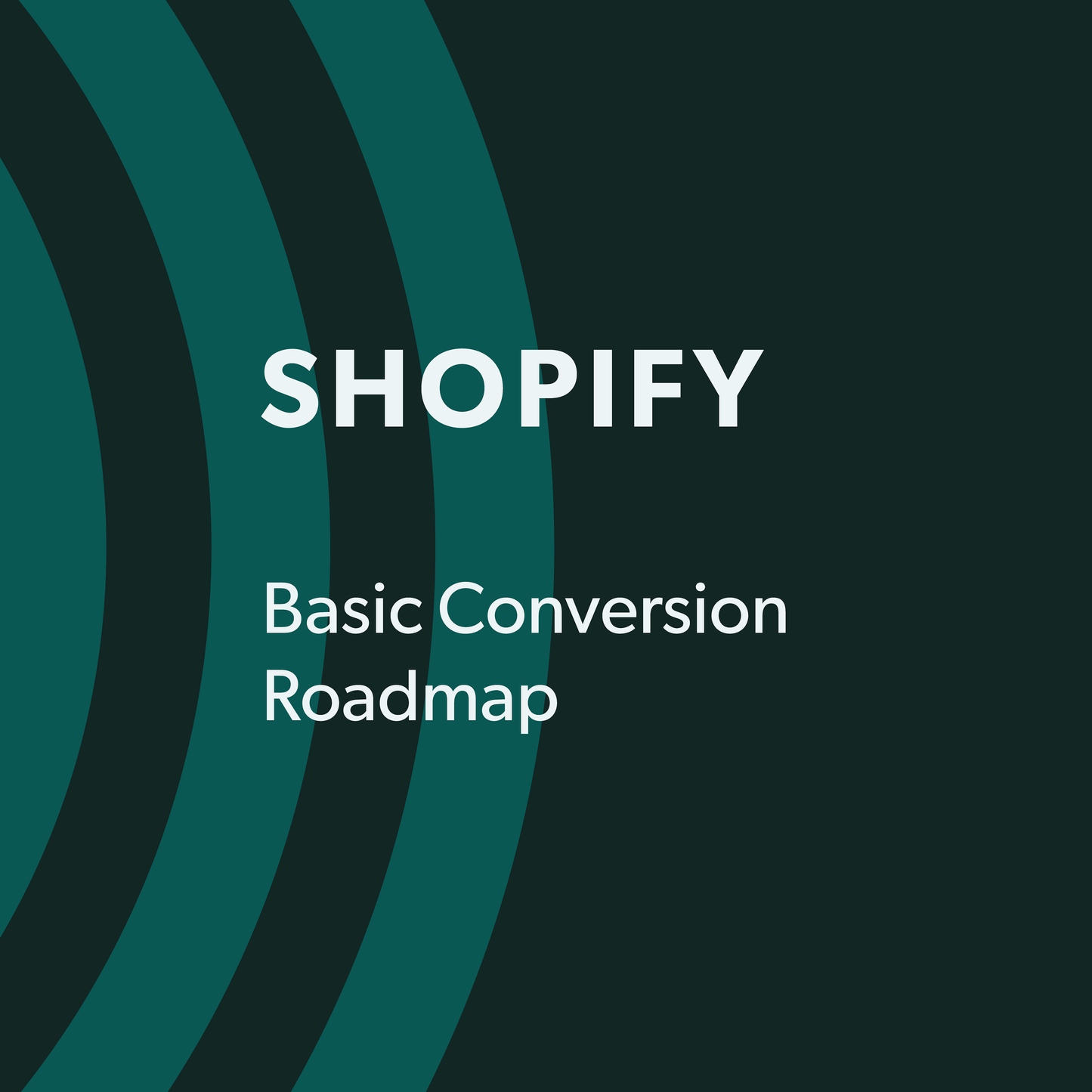 Basic Shopify Roadmap